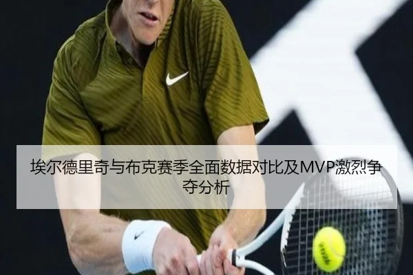 埃尔德里奇与布克赛季全面数据对比及MVP激烈争夺分析